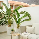 Home2rest At Gigantes - 1 Min To Beach, Restaurants, Center - 1bdr *